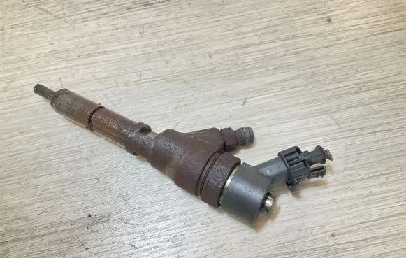 Citroen Relay II Fuel injector 0445110076 9653594280