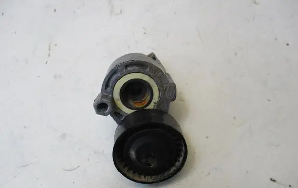 Renault Kangoo II Timing belt tensioner 