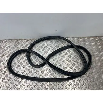 BMW 7 G11 G12 Rear door rubber seal (on body) 7336047
