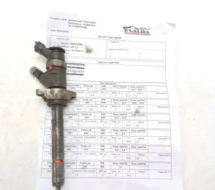Citroen C5 Fuel injector 0445110297