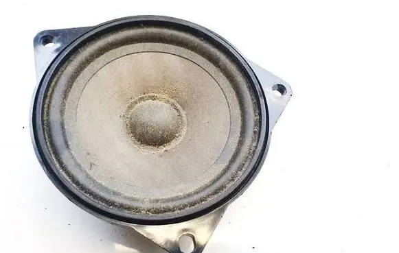 BMW X1 E84 Front door speaker 6513914149401