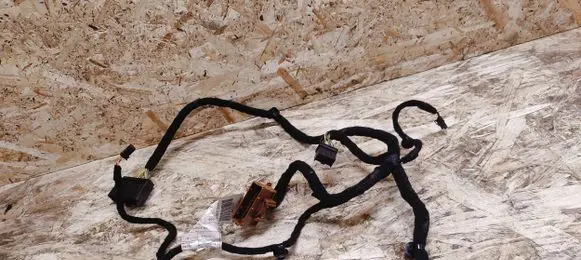 Alfa Romeo Giulia Other wiring loom 00505460510