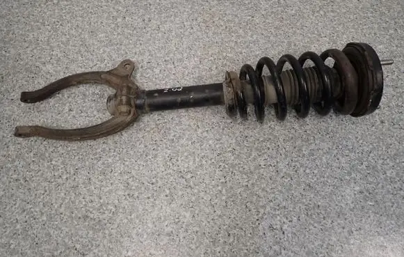 Hyundai Sonata Front shock absorber with coil spring