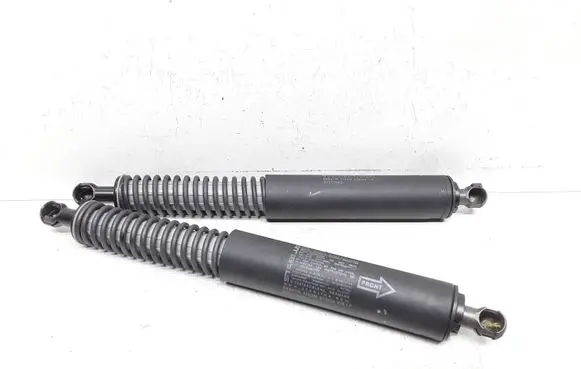 Tailgate/trunk strut/damper