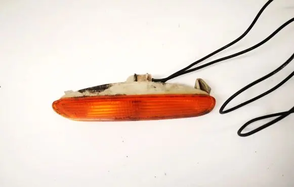 Front fender indicator light
