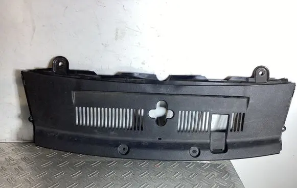 Lexus LS 460 - 600H Radiator trim 5329550040