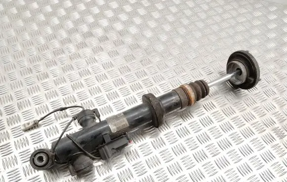 BMW 5 F10 F11 Rear shock absorber/damper 6796860 F10H078V 007244
