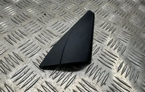 Other front door trim element