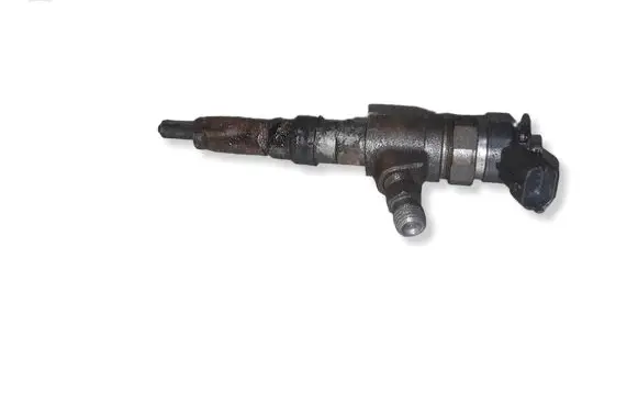 Peugeot 206 Fuel injector 0445110075