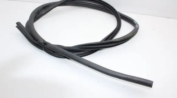 Nissan Leaf II (ZE1) Rubber seal rear door 