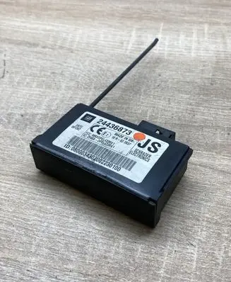 Opel Signum Other control units/modules 24436873