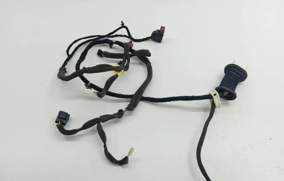 Front door wiring loom