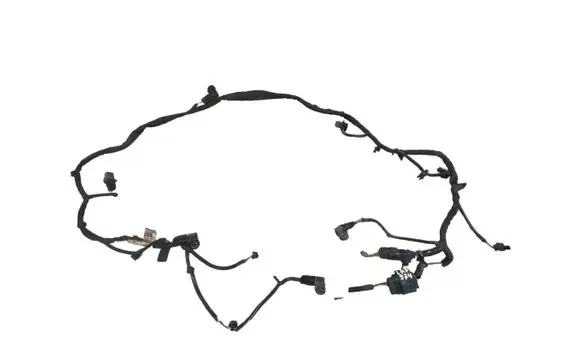Other wiring loom