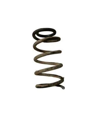 Hyundai Santa Fe Rear coil spring