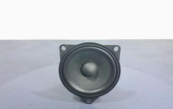BMW X5 E53 Subwoofer speaker 2622517