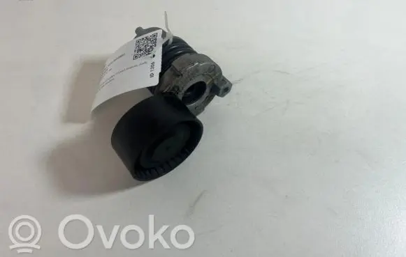 Nissan Juke I F15 Alternator belt tensioner 6571010