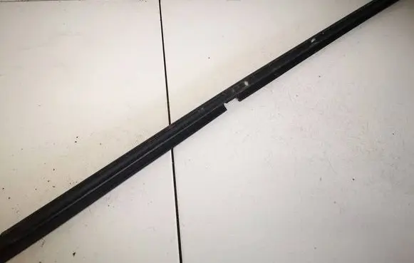 Renault Scenic II - Grand scenic II Front door glass trim molding