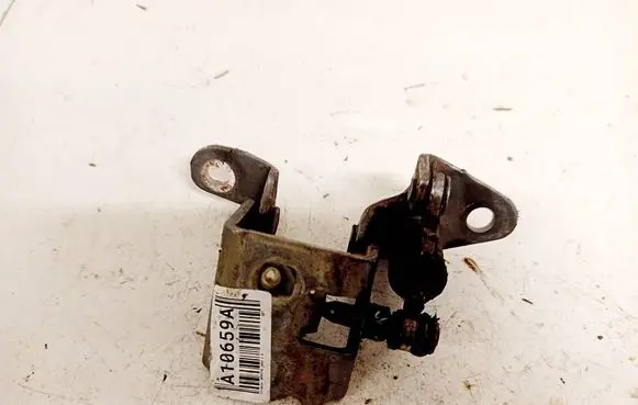 Chrysler Sebring (JS) Rear door lower hinge 919afl