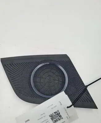 Side speaker trim/cover