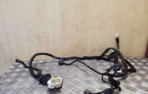 Chevrolet Captiva Front door wiring loom 20980110