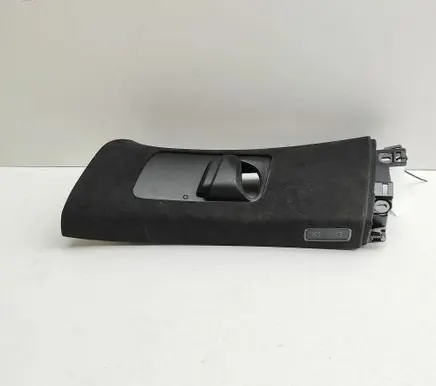 Tesla Model X (B) pillar trim (bottom) 103595116B 105030000B