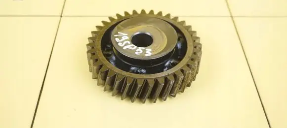 Volkswagen Touareg I Timing chain sprocket 070109313 19SP53