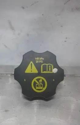 Opel Insignia A Coolant expansion tank/reservoir cap 13502353
