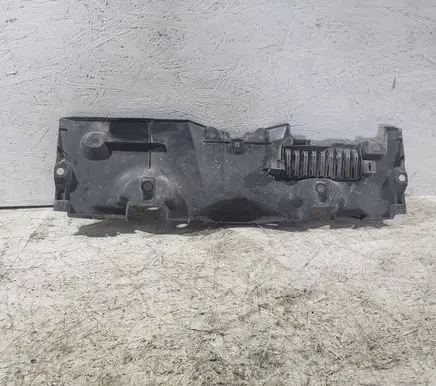 Toyota RAV 4 (XA50) Radiator trim 1668125010