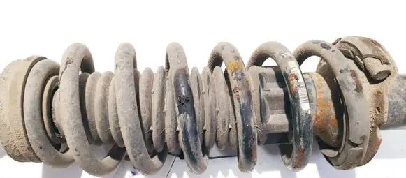 Citroen C5 Rear coil spring 9611