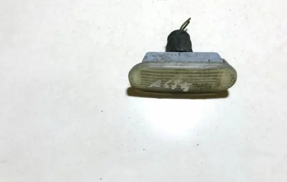 Front fender indicator light