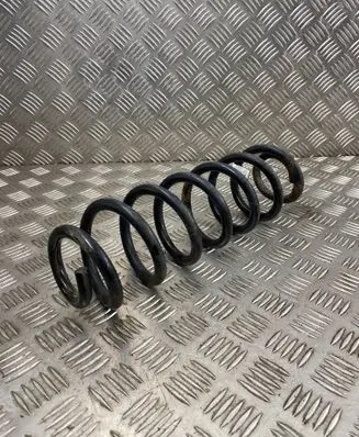 Rear coil spring