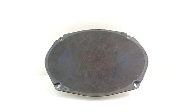 Front door speaker