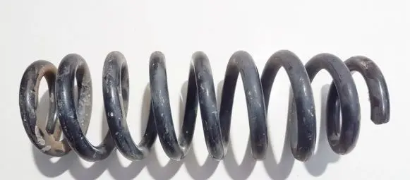 Rear coil spring