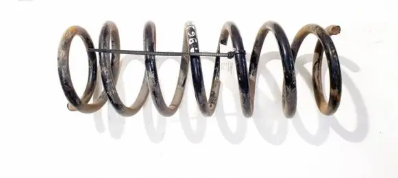 Rear coil spring