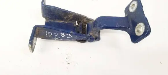 Renault Kangoo II Tailgate/trunk/boot hinge 117113602C