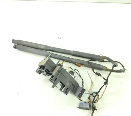 BMW X5 F15 Tailgate hydraulic set 7388490 F005V01610 0043494601