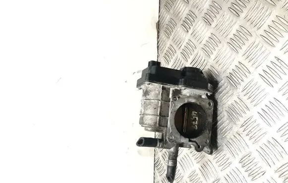Throttle body valve