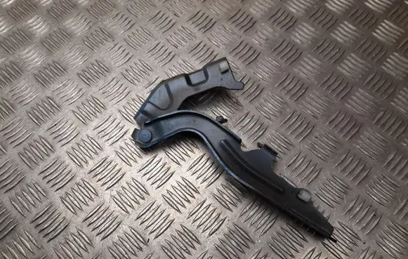 Nissan Juke II F16 Tailgate/trunk/boot hinge 6PR