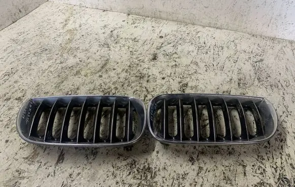 BMW X3 E83 Front grill
