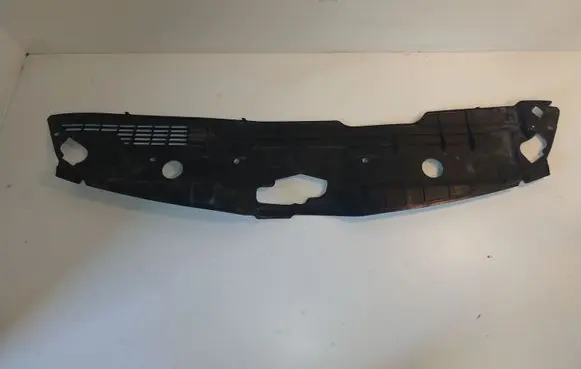 Engine bonnet/hood lock trim molding