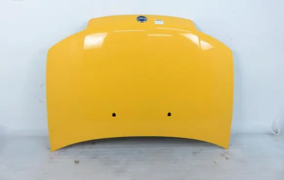 Fiat Punto (188) Engine bonnet/hood 
