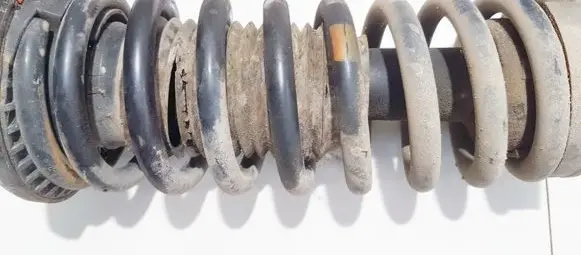 Front coil spring