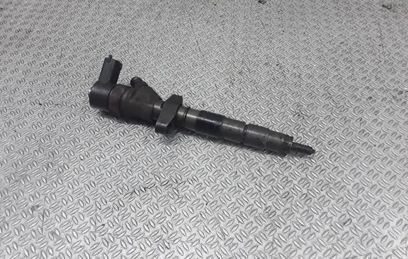 Renault Espace - Grand espace IV Fuel injector 8200084534