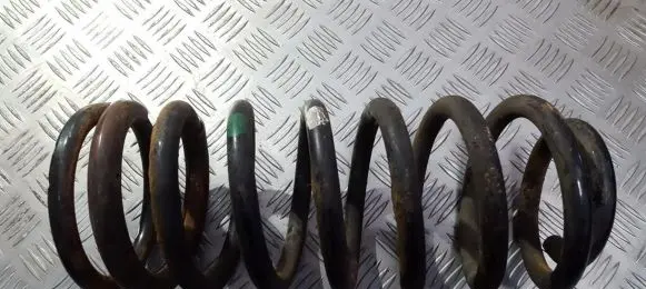 Hyundai Trajet Rear coil spring