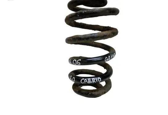Rear coil spring