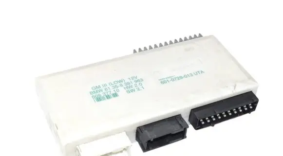 BMW 5 E39 Comfort/convenience module 61358381963 8381963 HW20SW21