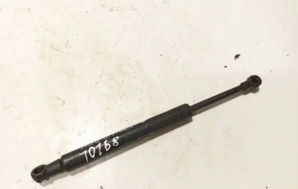 Front bonnet/hood damper/strut
