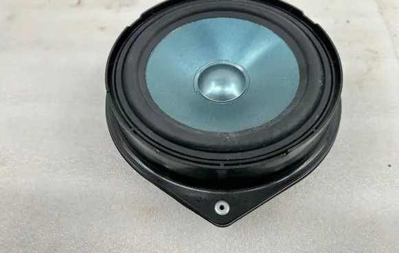 Mercedes-Benz E C207 W207 Rear door speaker A2078200502