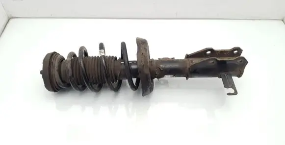 Opel Insignia A Front shock absorber with coil spring 13245976