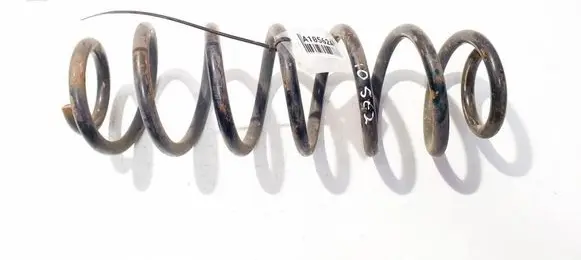 Rear coil spring